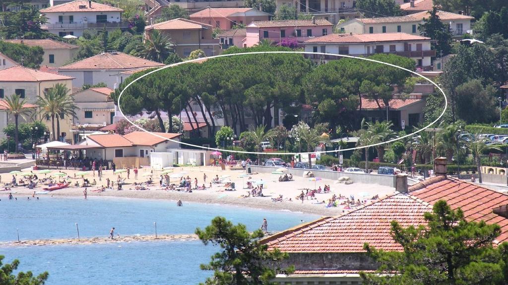 Maristella